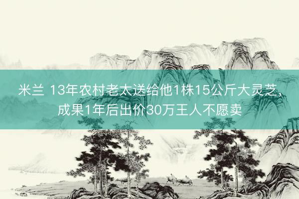 米兰 13年农村老太送给他1株15公斤大灵芝，成果1年后出价30万王人不愿卖
