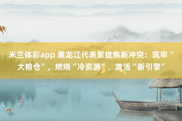 米兰体彩app 黑龙江代表聚拢焦新冲突：筑牢“大粮仓”，燃烧“冷资源”，激活“新引擎”