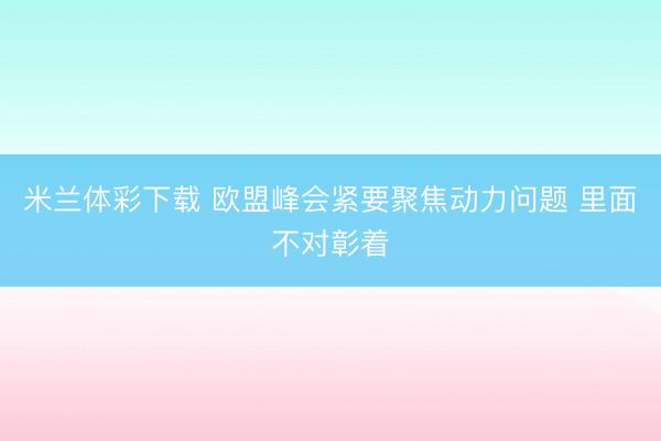 米兰体彩下载 欧盟峰会紧要聚焦动力问题 里面不对彰着