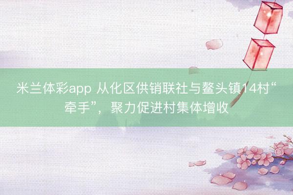 米兰体彩app 从化区供销联社与鳌头镇14村“牵手”，聚力促进村集体增收