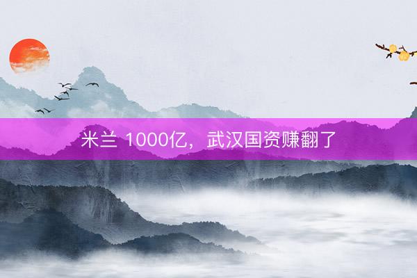 米兰 1000亿，武汉国资赚翻了