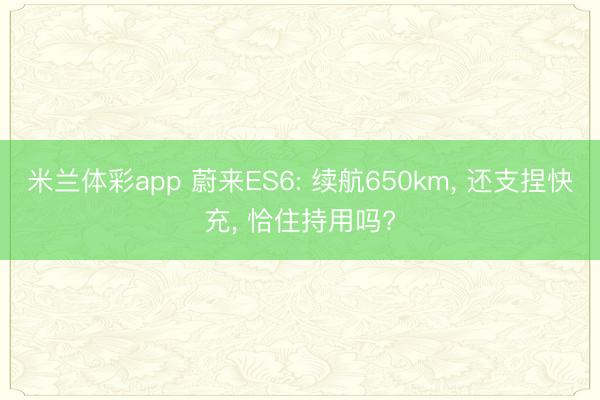 米兰体彩app 蔚来ES6: 续航650km， 还支捏快充， 恰住持用吗?