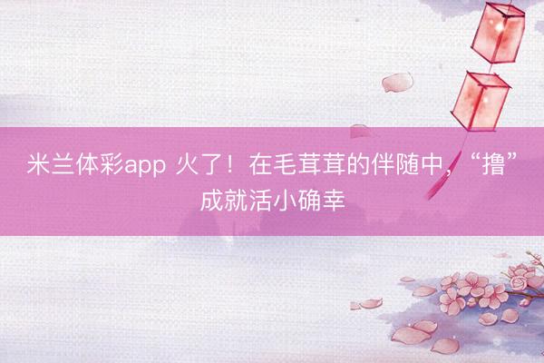米兰体彩app 火了！在毛茸茸的伴随中，“撸”成就活小确幸