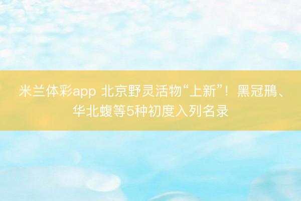 米兰体彩app 北京野灵活物“上新”！黑冠鳽、华北蝮等5种初度入列名录